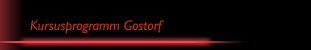 Kursusprogramm Gostorf